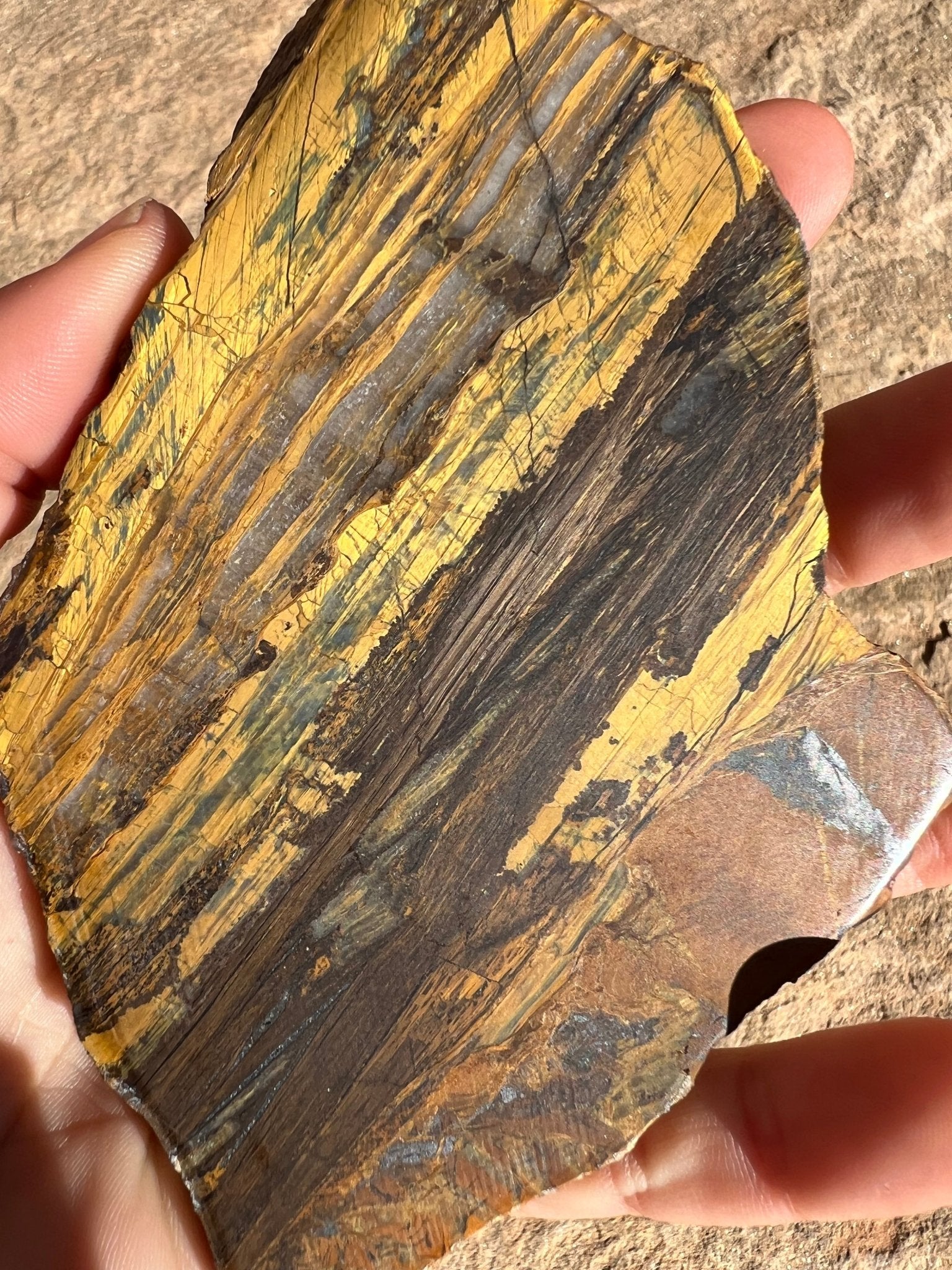 Lionskin Slab 143g - Purple Door Alchemy