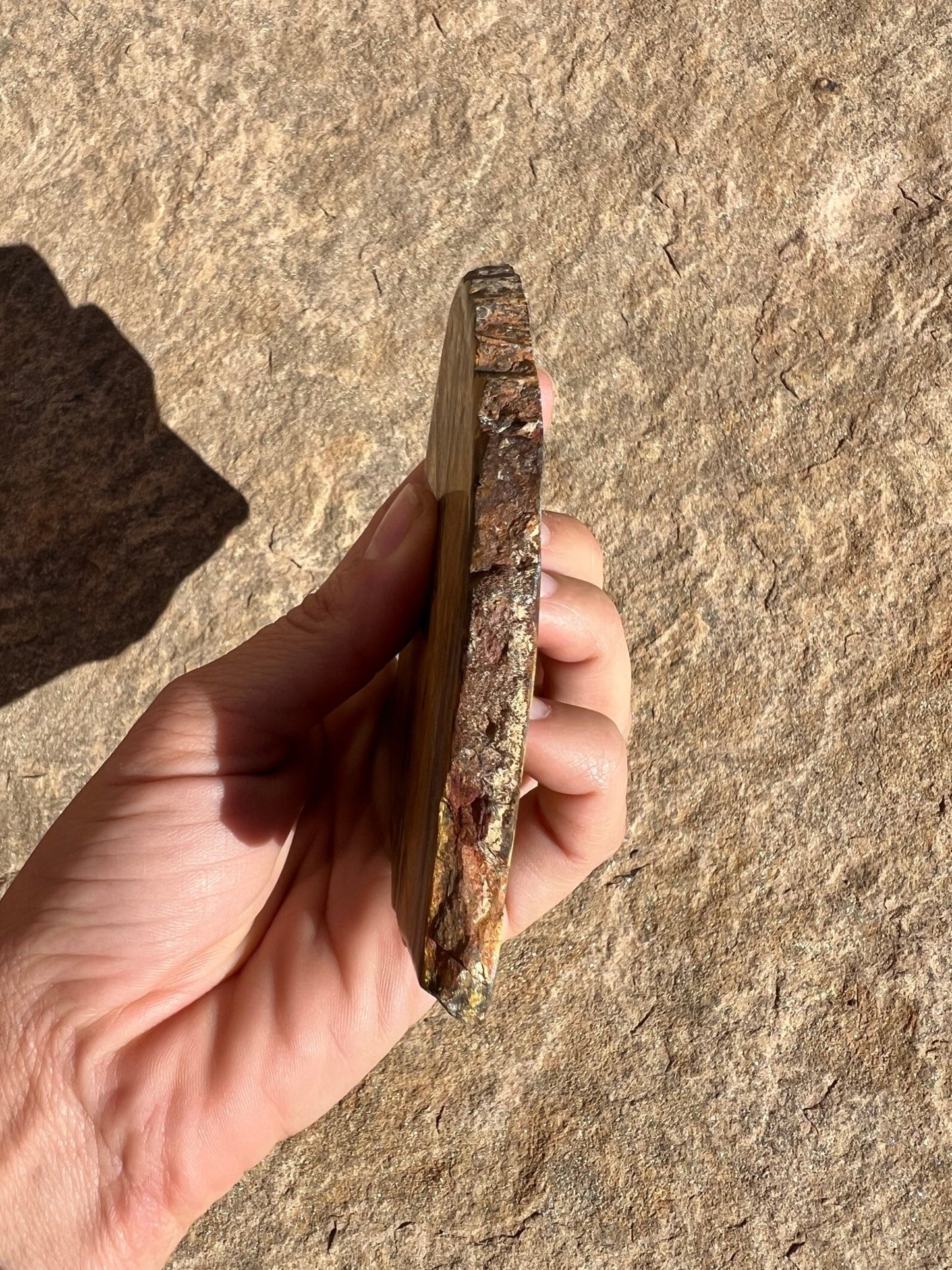 Lionskin Slab 148g - Purple Door Alchemy