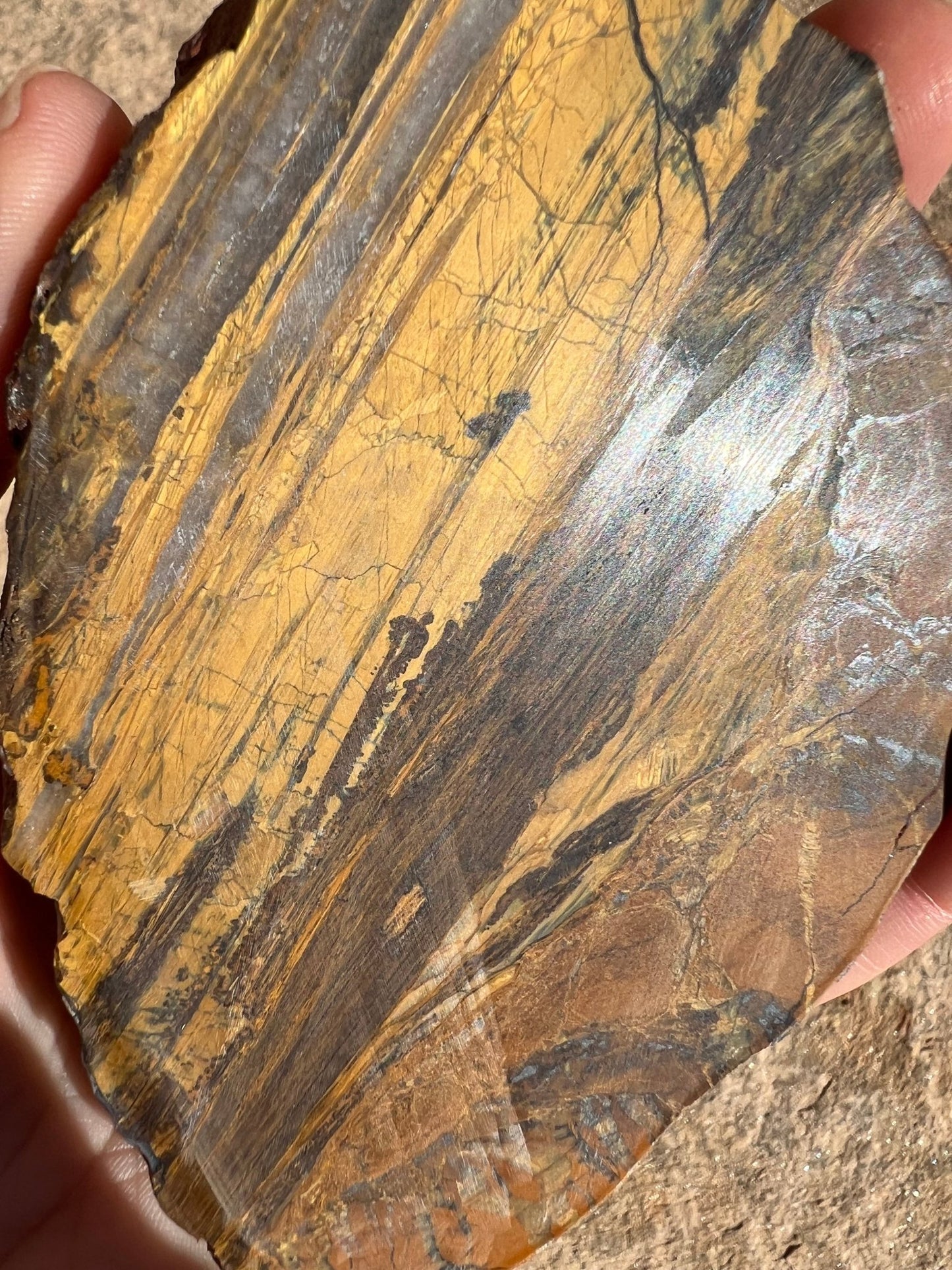 Lionskin Slab 148g - Purple Door Alchemy