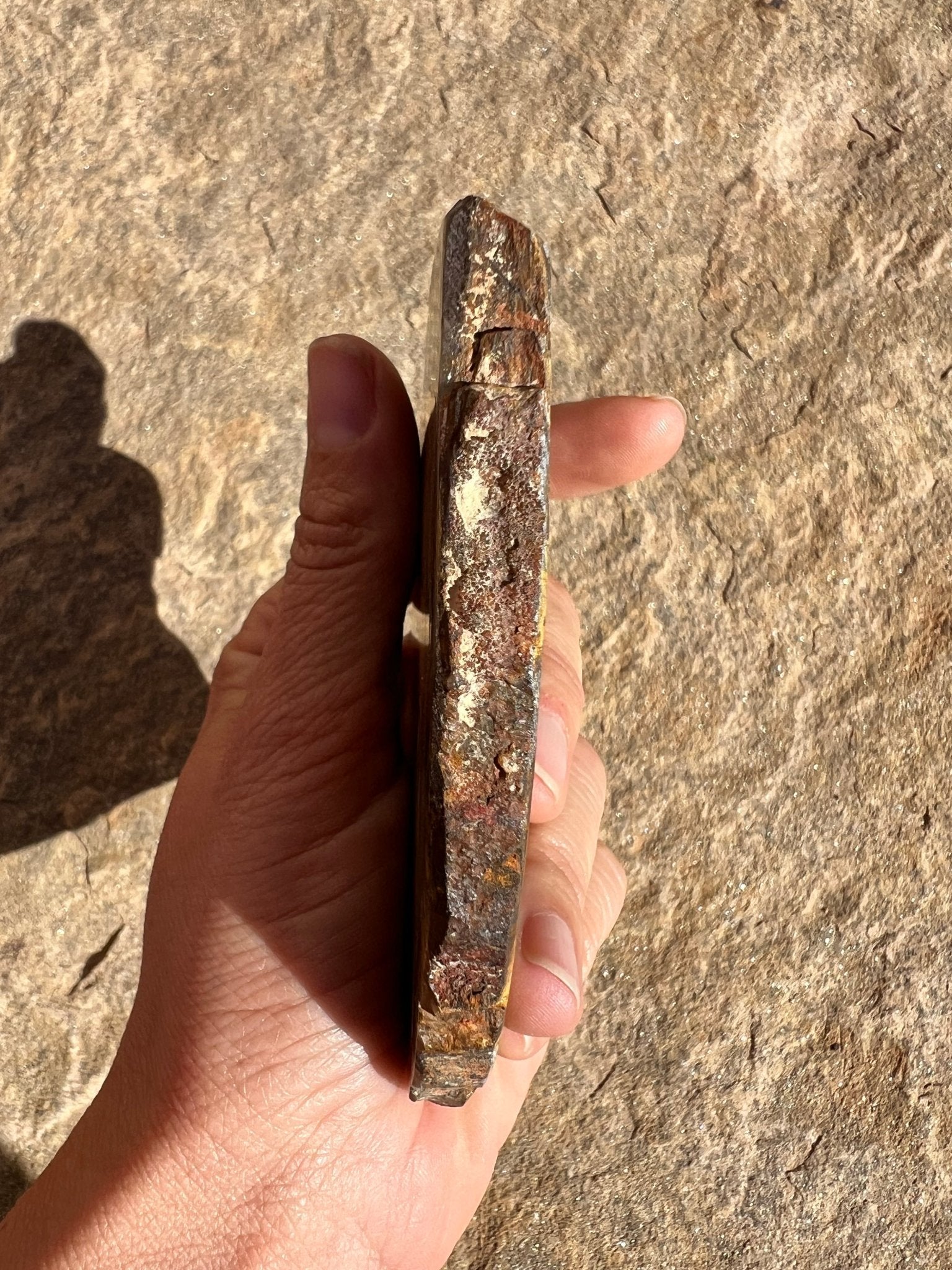 Lionskin Slab 155g - Purple Door Alchemy