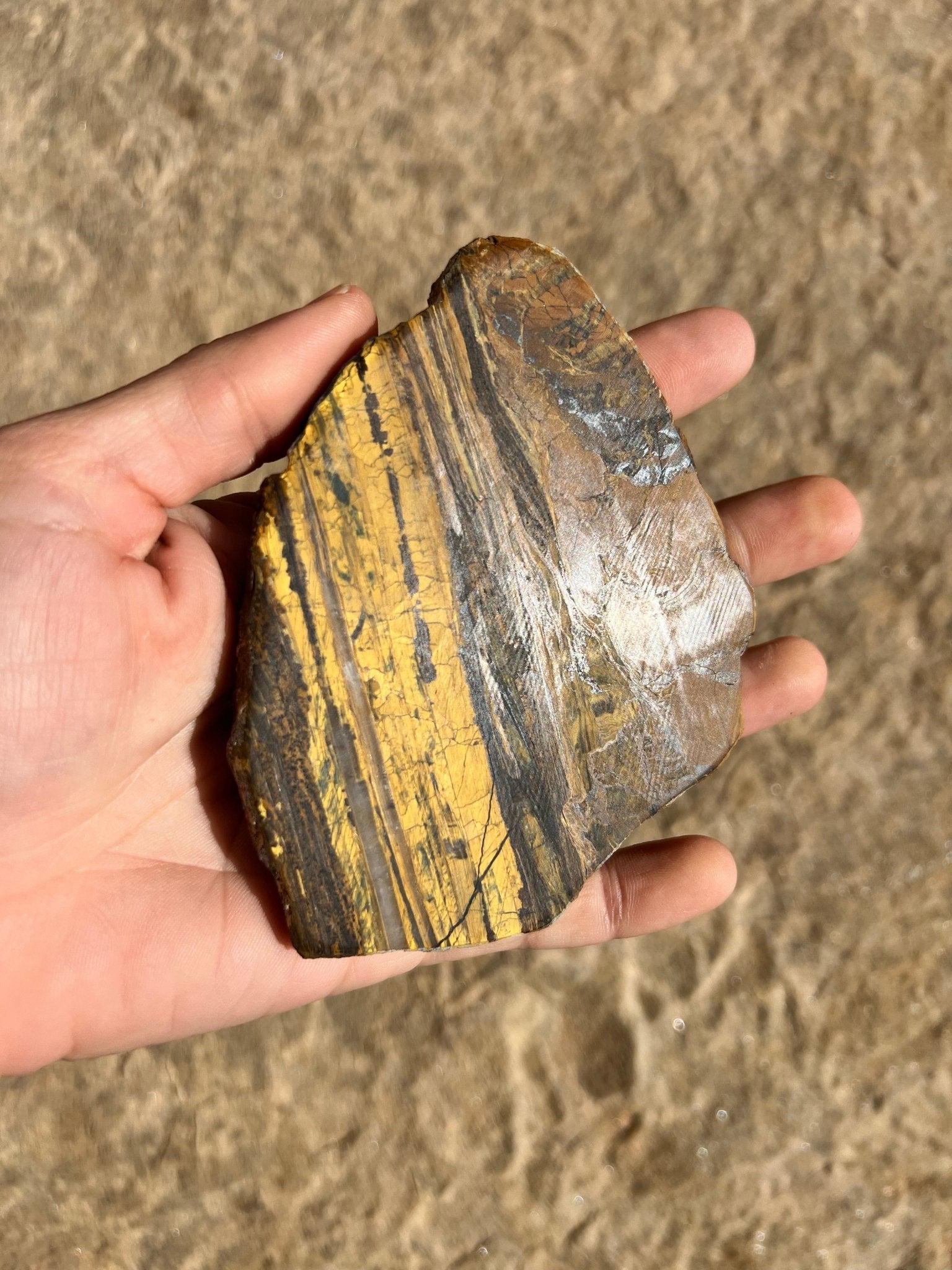 Lionskin Slab 157g - Purple Door Alchemy