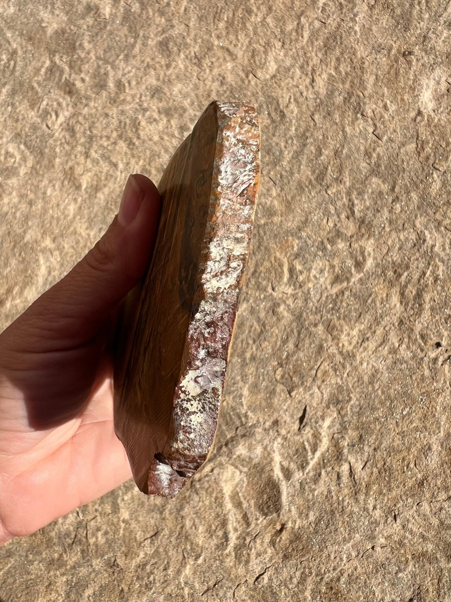 Lionskin Slab 157g - Purple Door Alchemy