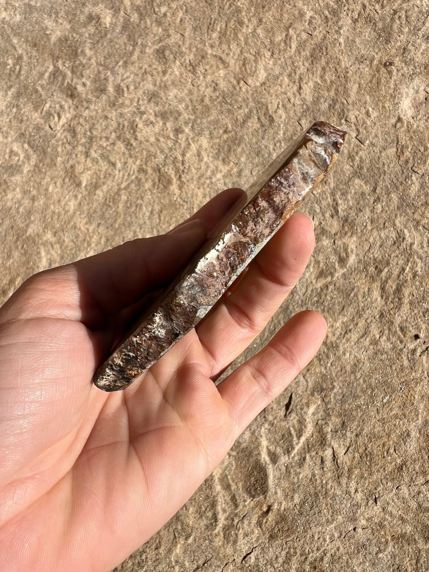 Lionskin Slab 157g - Purple Door Alchemy