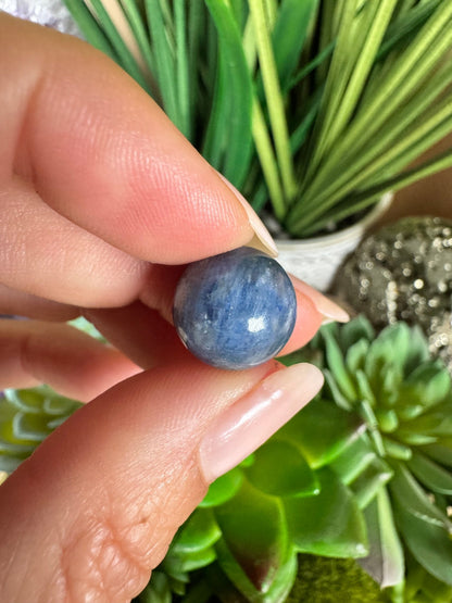 Mini Blue Kyanite Sphere - Purple Door Alchemy