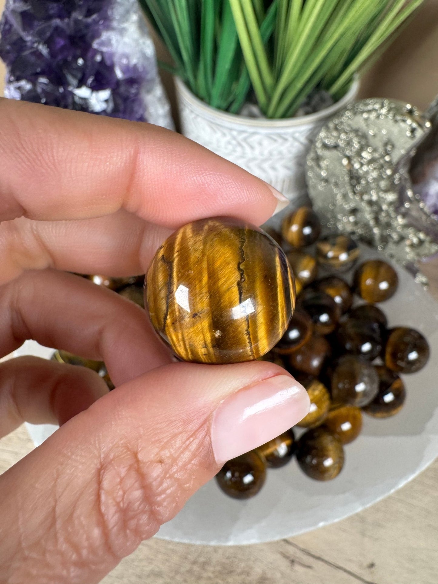 Mini Tigers Eye Spheres - Purple Door Alchemy