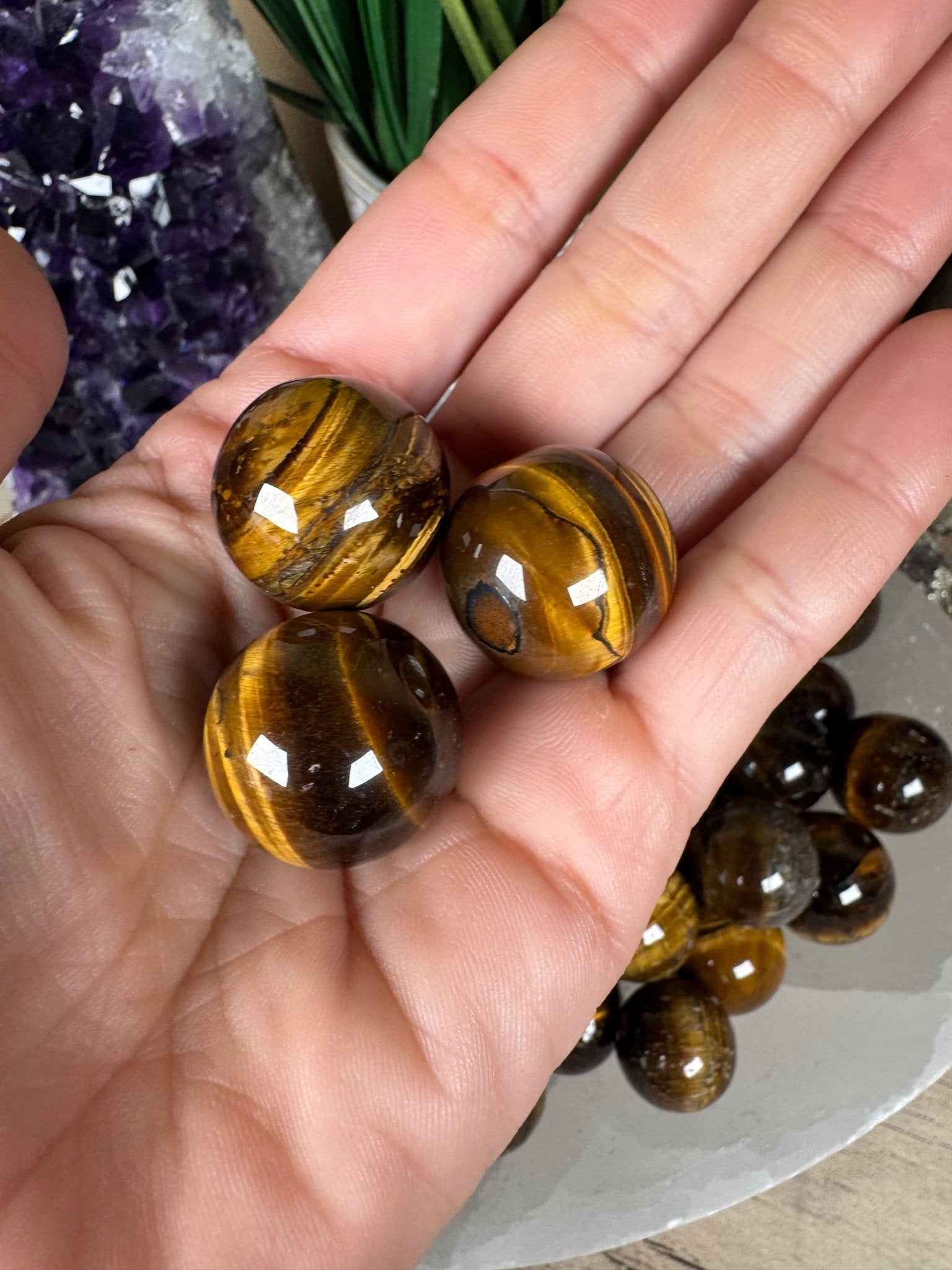 Mini Tigers Eye Spheres - Purple Door Alchemy