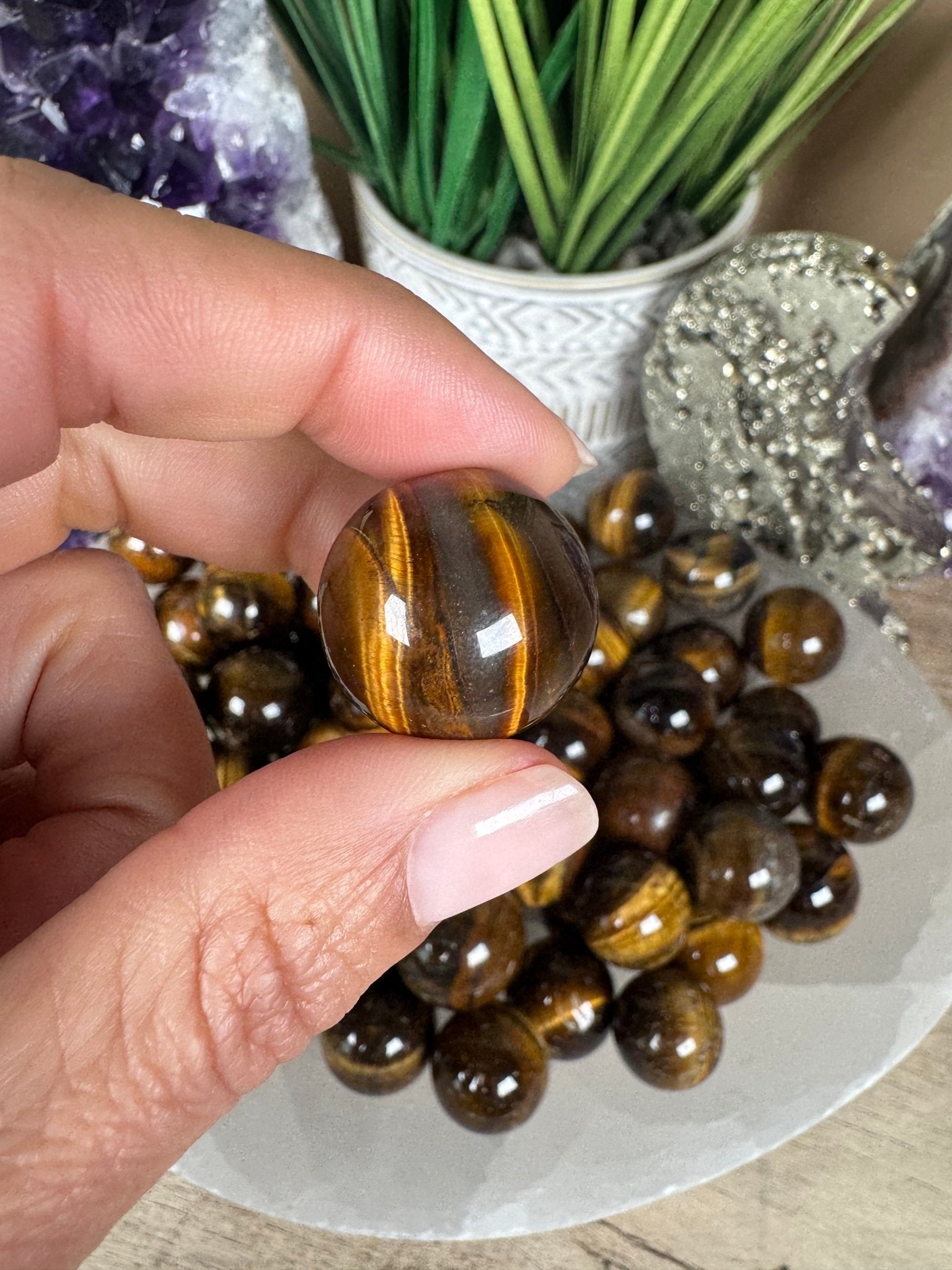Mini Tigers Eye Spheres - Purple Door Alchemy