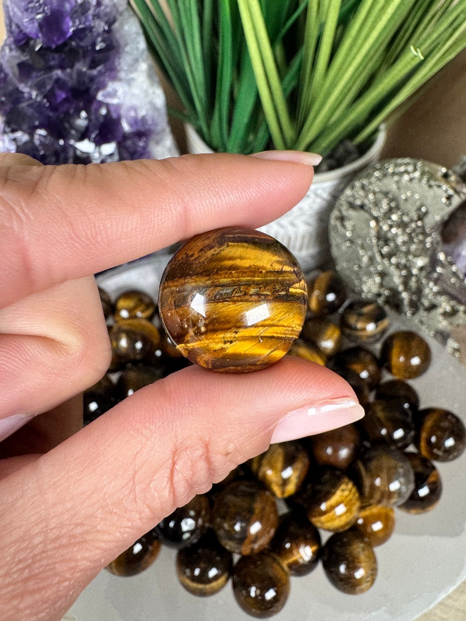 Mini Tigers Eye Spheres - Purple Door Alchemy