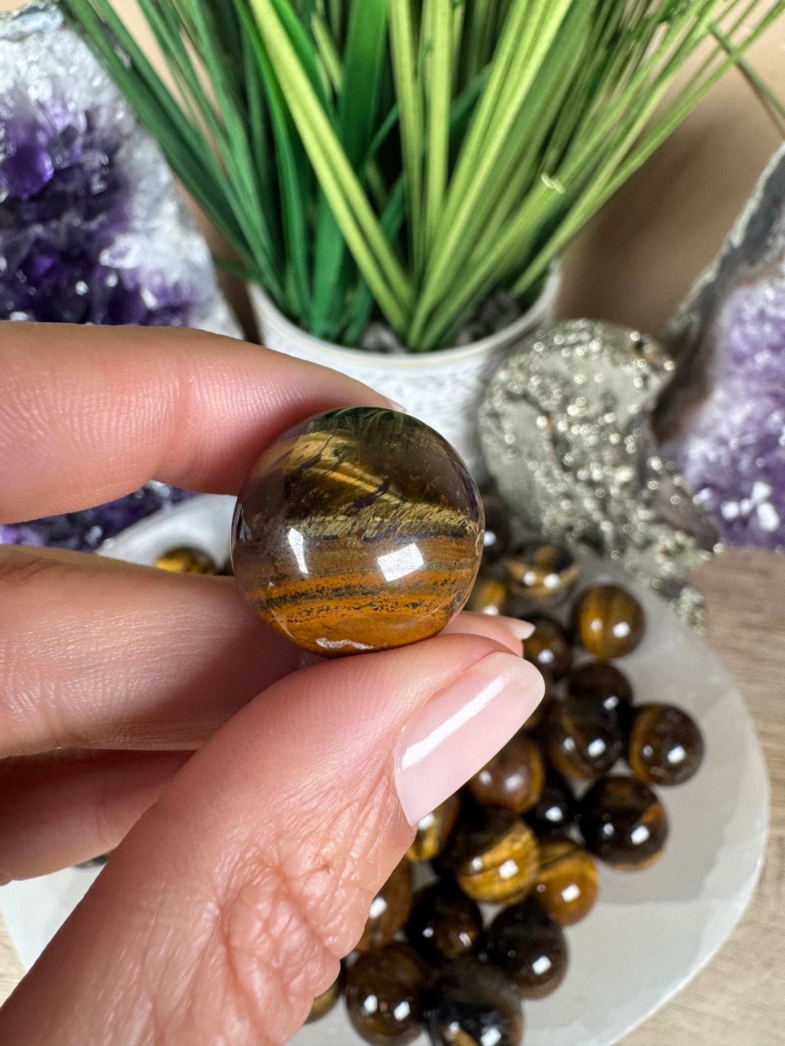 Mini Tigers Eye Spheres - Purple Door Alchemy