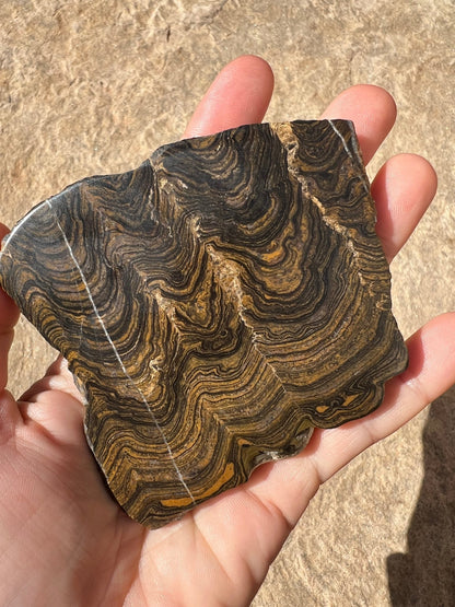 Peruvian Stromatolite Slab 129g - Purple Door Alchemy