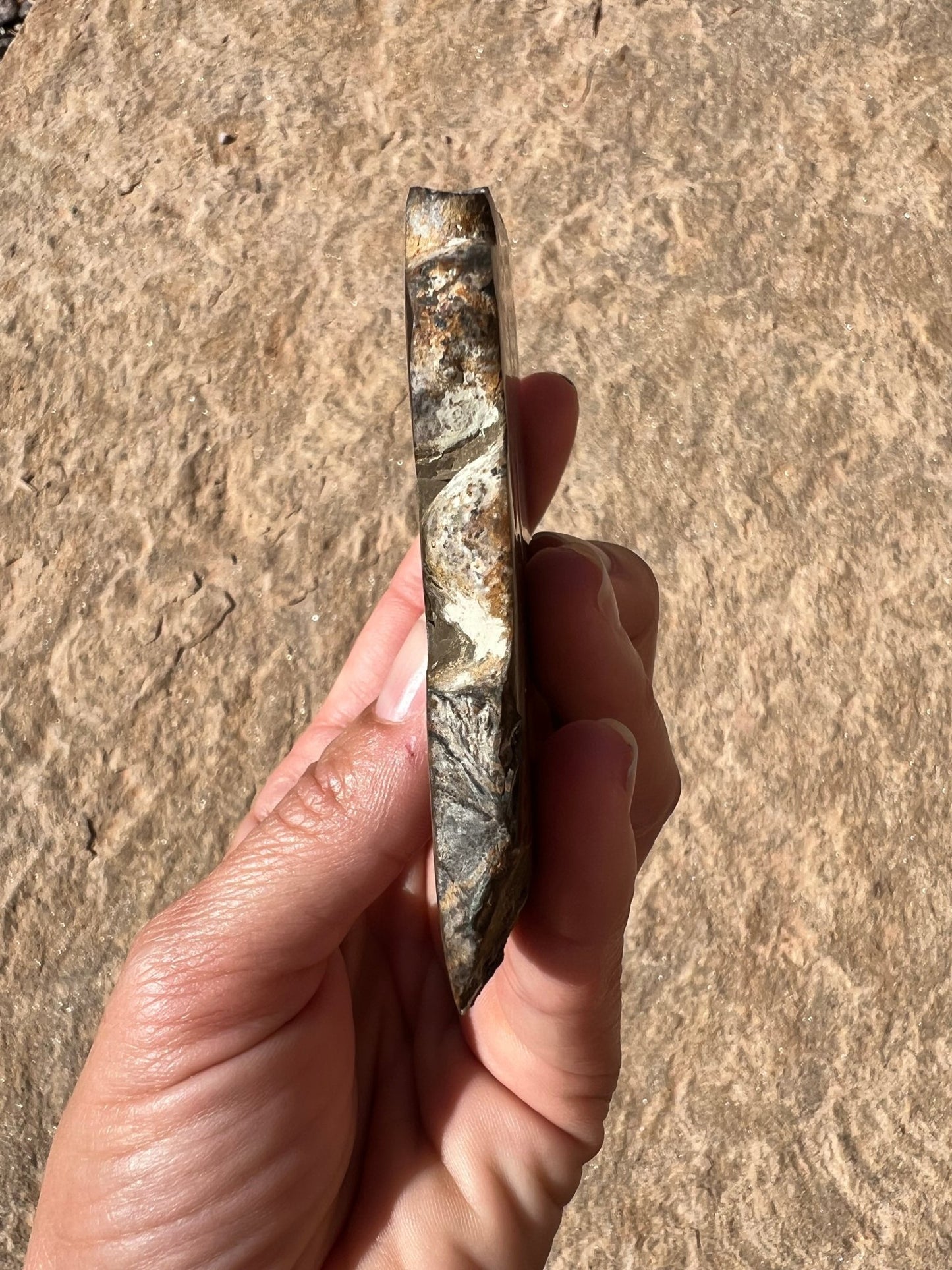 Peruvian Stromatolite Slab 129g - Purple Door Alchemy