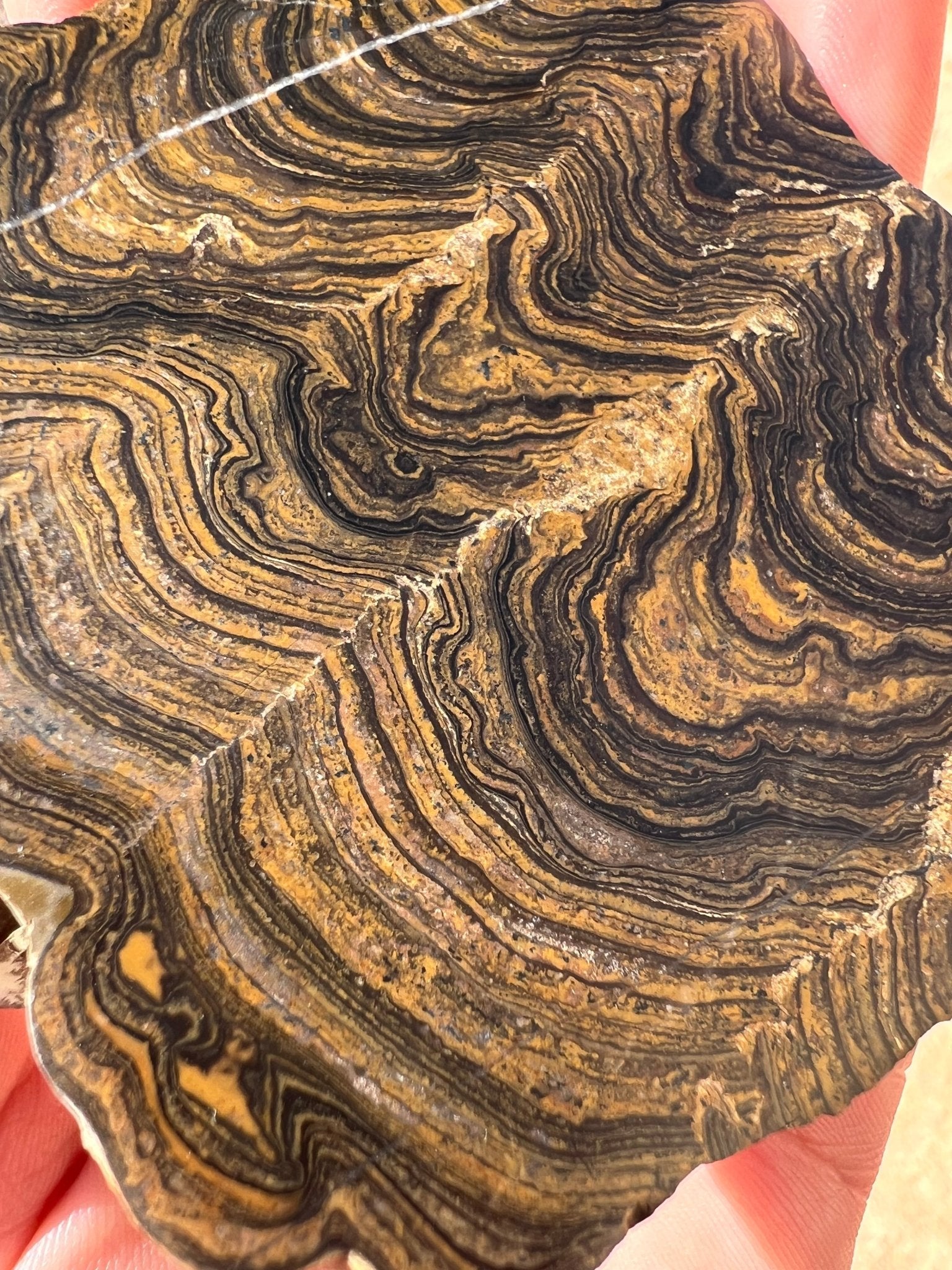 Peruvian Stromatolite Slab 129g - Purple Door Alchemy