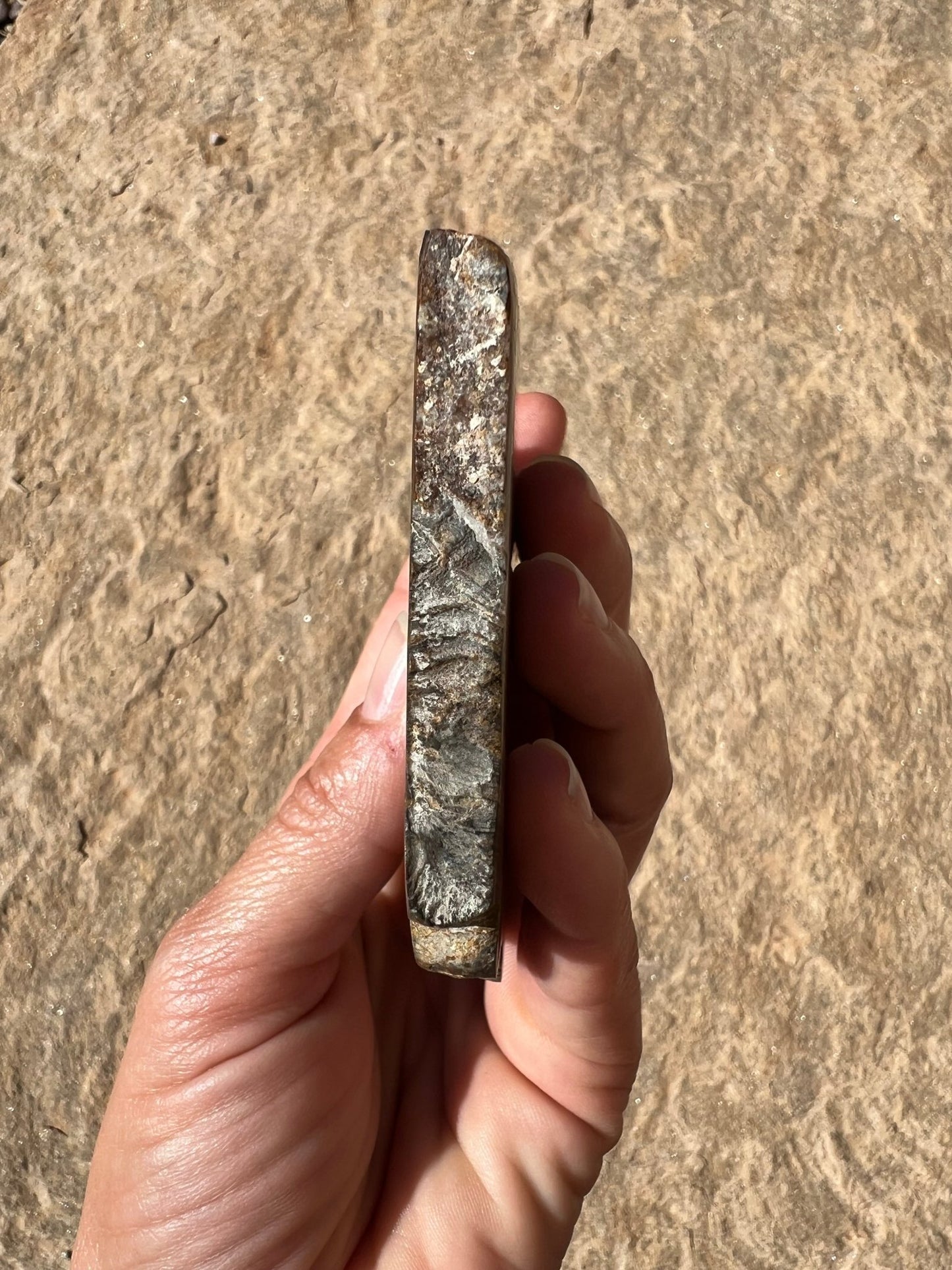 Peruvian Stromatolite Slab 129g - Purple Door Alchemy