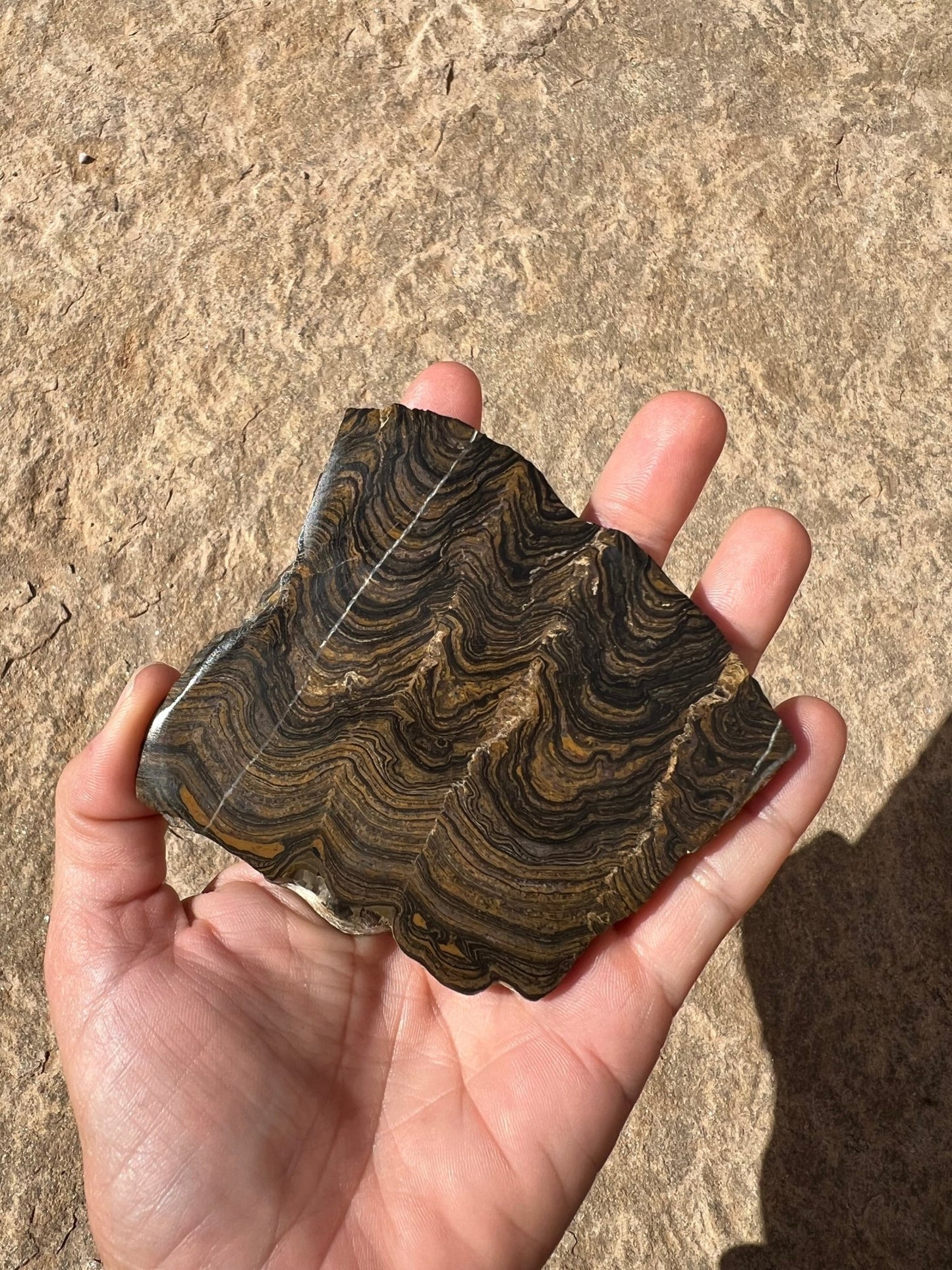 Peruvian Stromatolite Slab 129g - Purple Door Alchemy