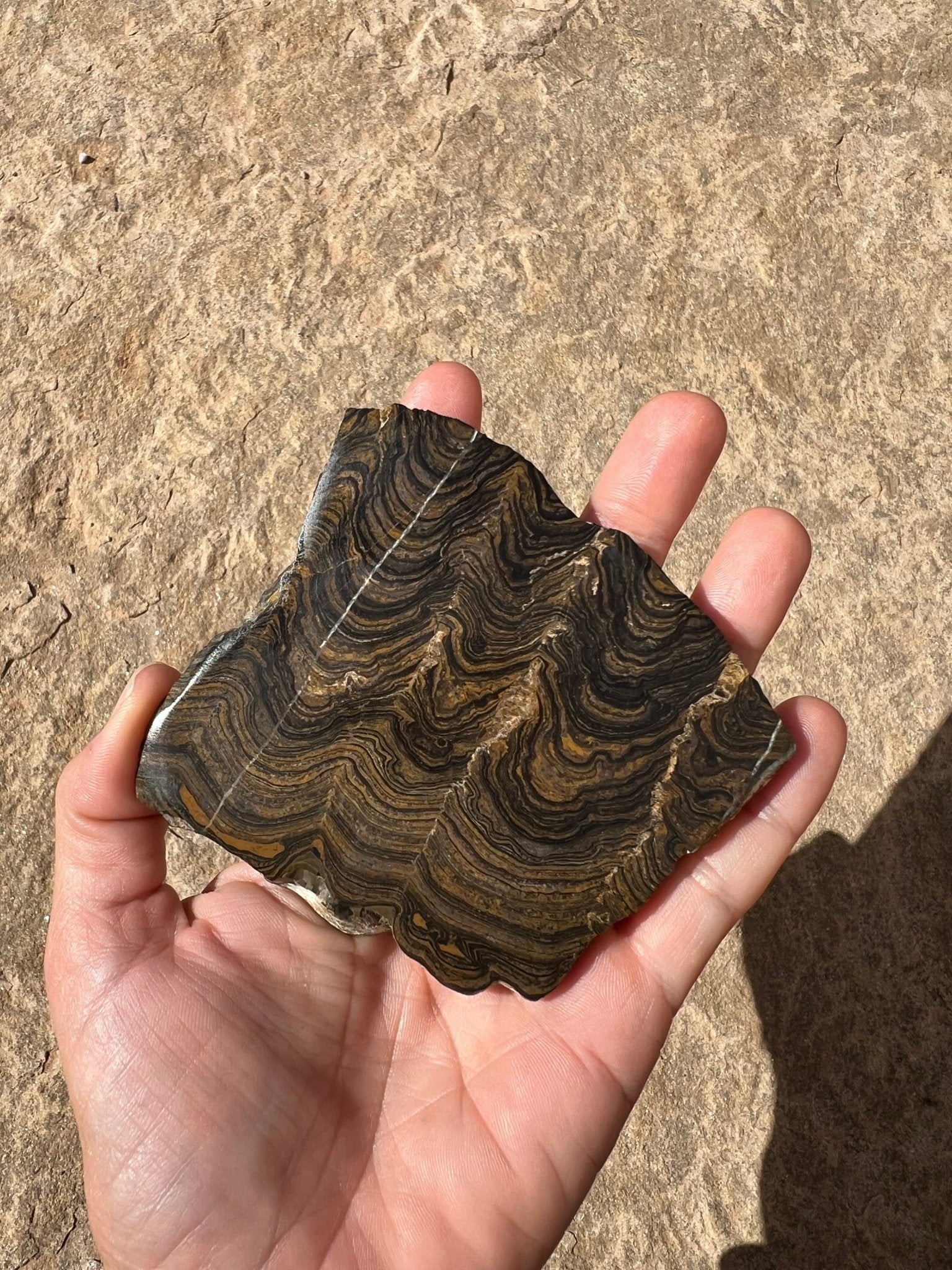 Peruvian Stromatolite Slab 129g - Purple Door Alchemy