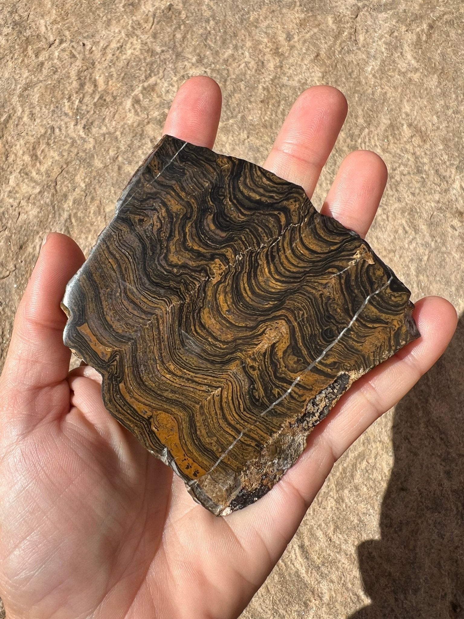 Peruvian Stromatolite Slab 129g - Purple Door Alchemy