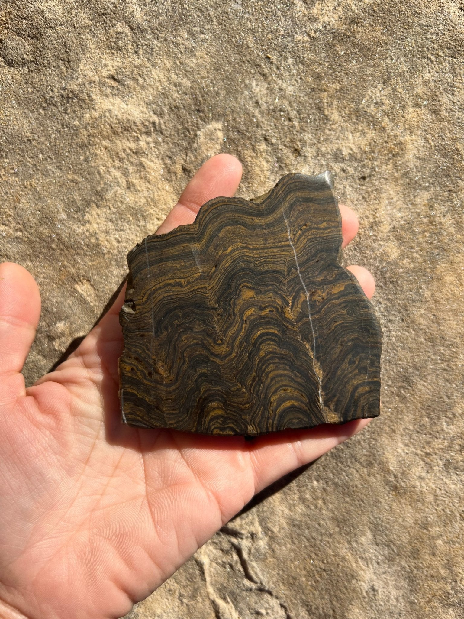 Peruvian Stromatolite Slab 135g - Purple Door Alchemy