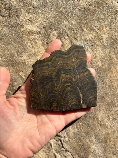 Peruvian Stromatolite Slab 135g - Purple Door Alchemy