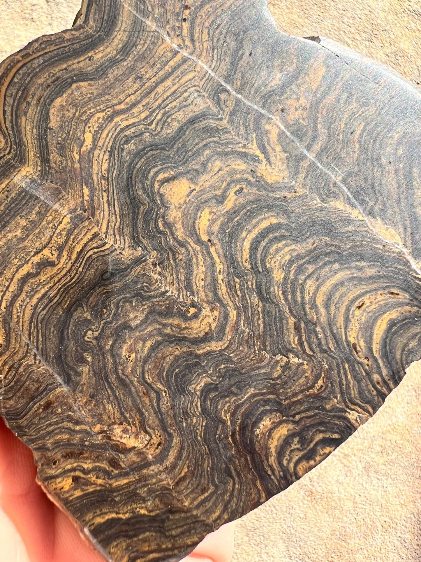 Peruvian Stromatolite Slab 135g - Purple Door Alchemy