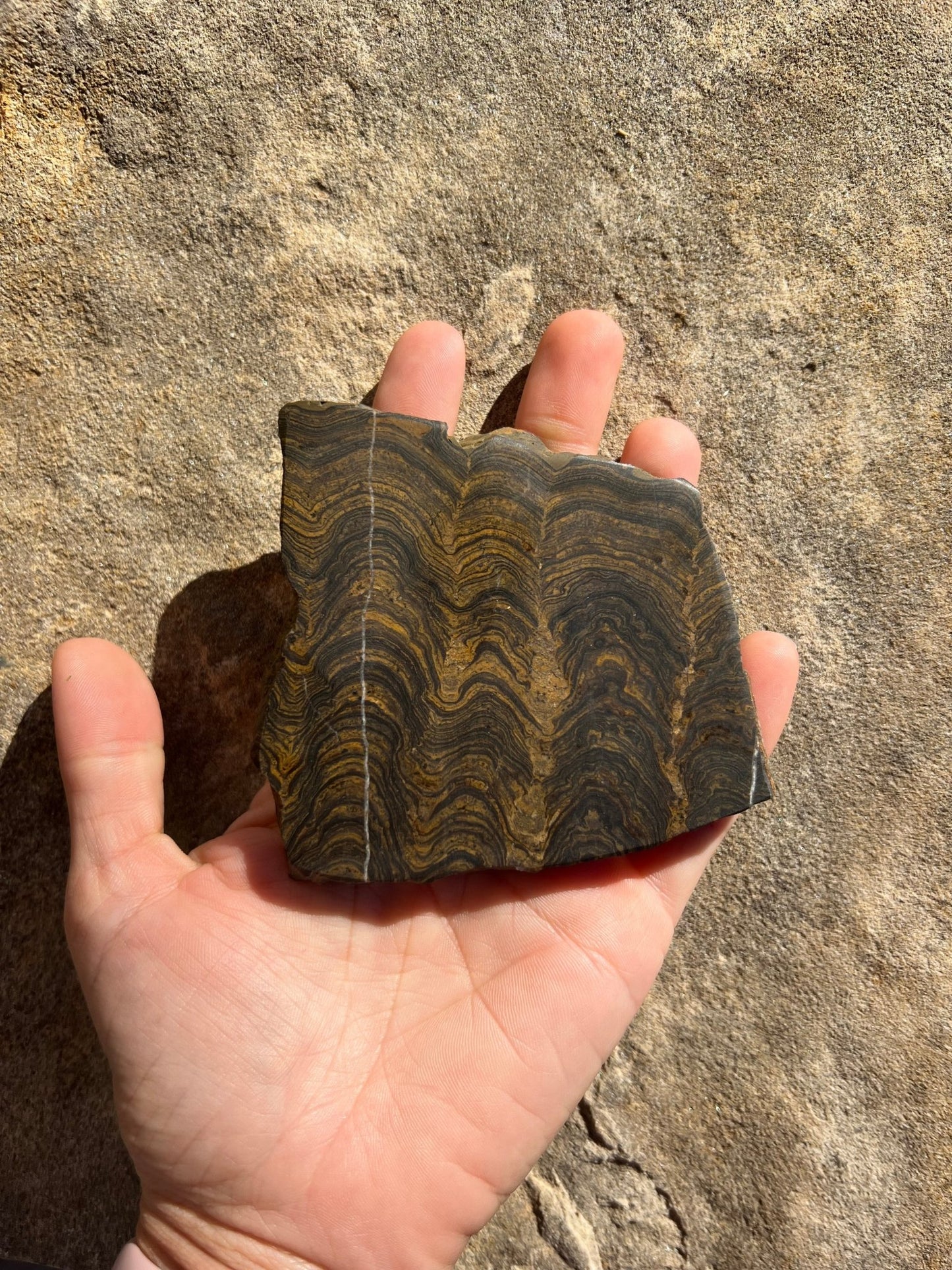 Peruvian Stromatolite Slab 135g - Purple Door Alchemy