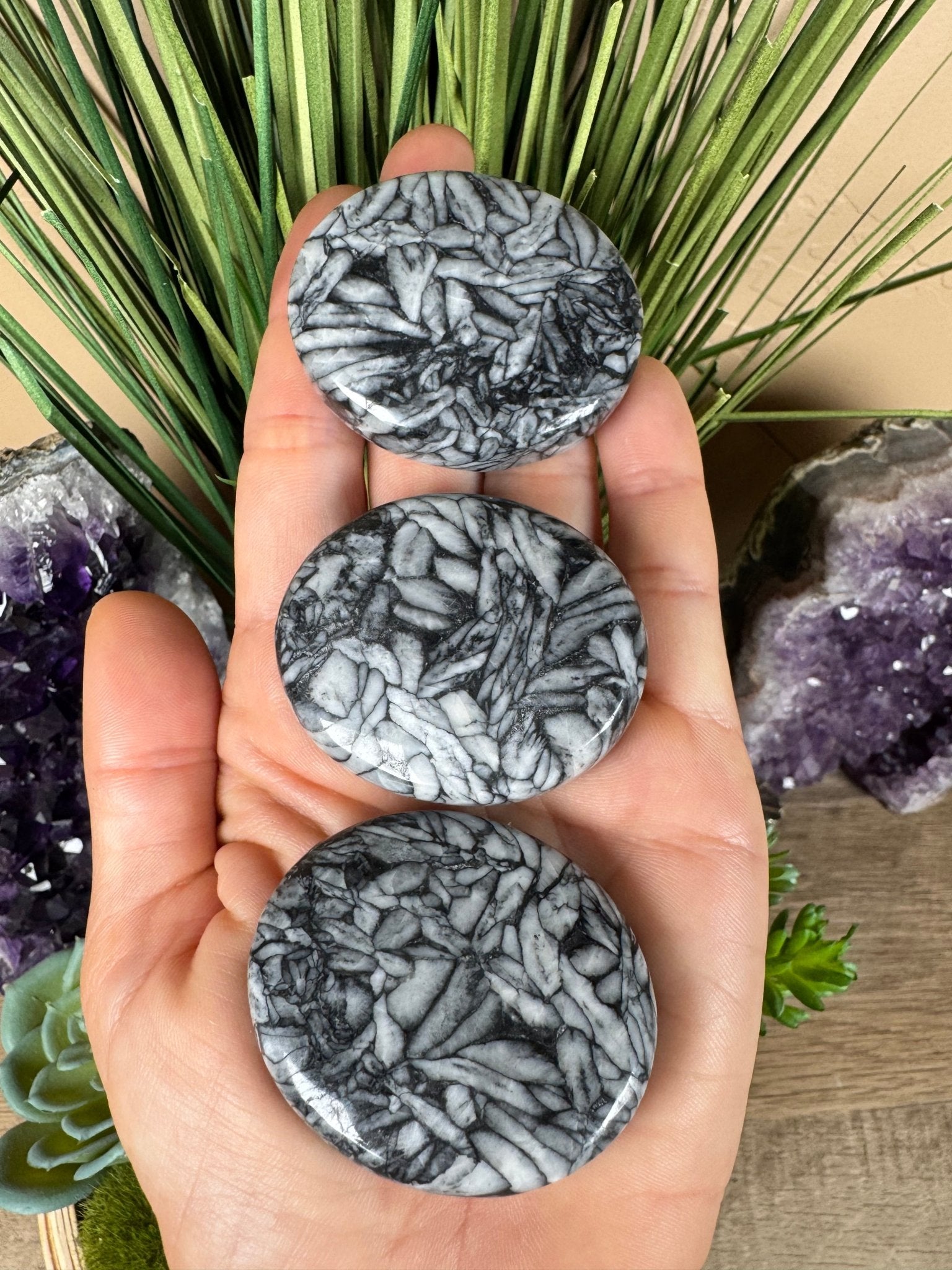 Pinolith Palm Stone - Purple Door Alchemy