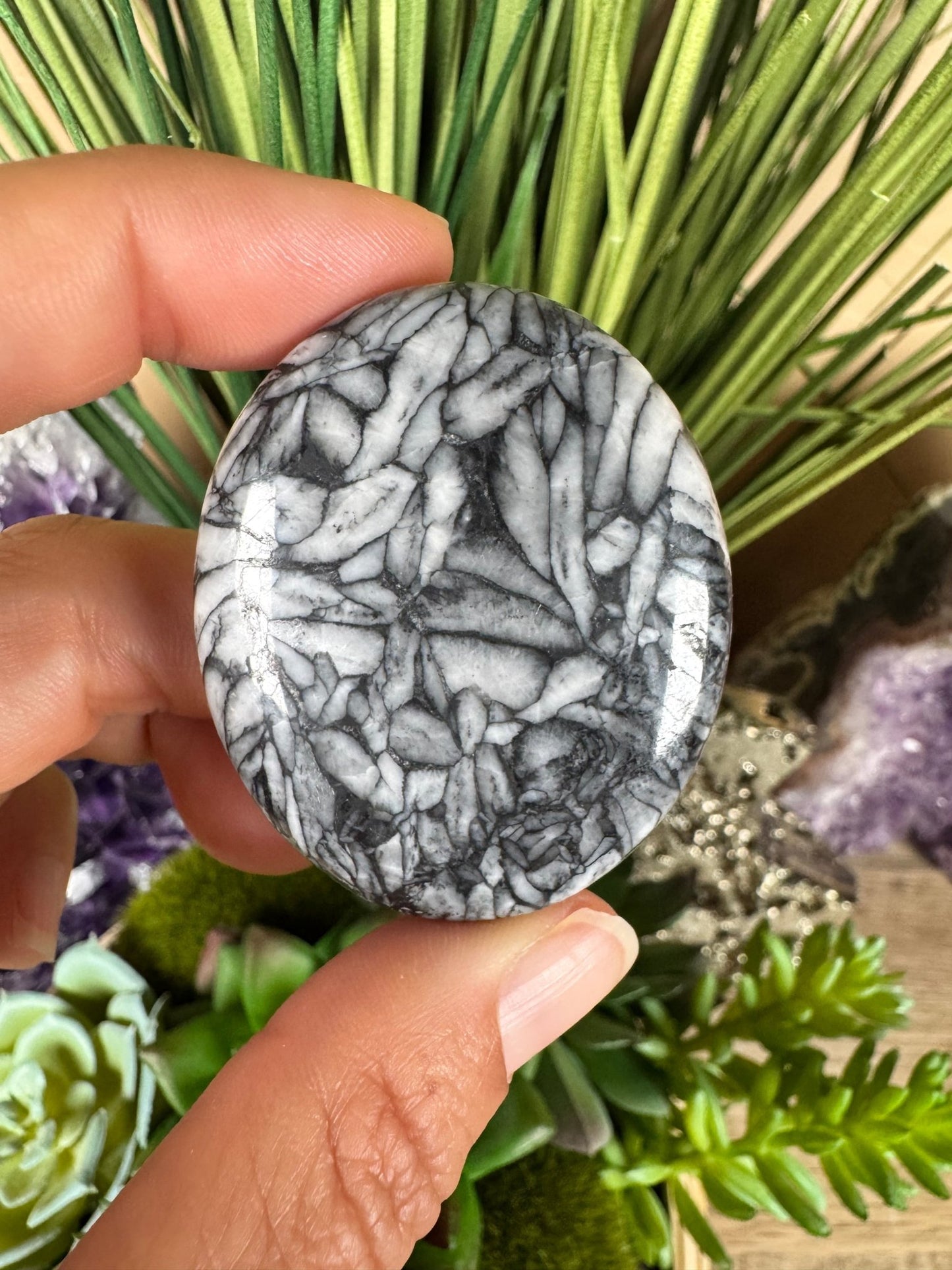 Pinolith Palm Stone - Purple Door Alchemy
