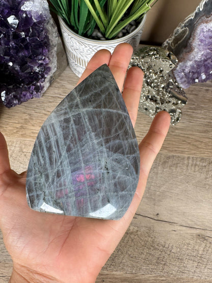 Polished Sunset Labradorite Flame 4.19in - Purple Door Alchemy