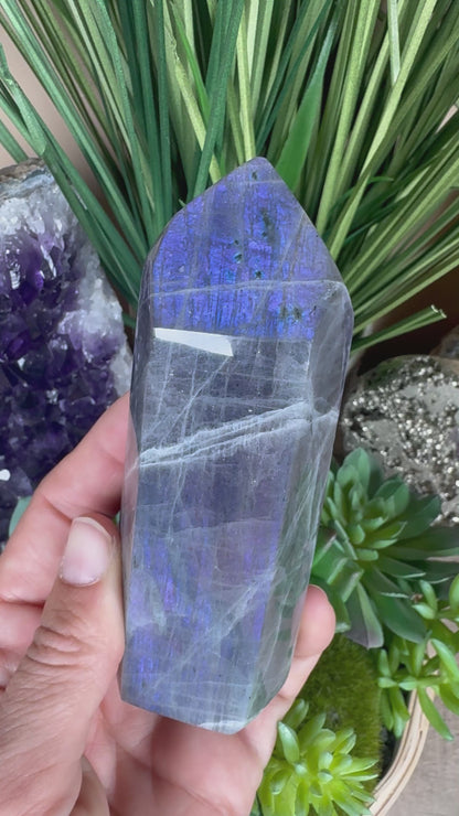 Purple Labradorite Point 4.33in