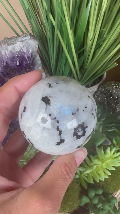 Rainbow Moonstone Sphere 60mm (2.36")