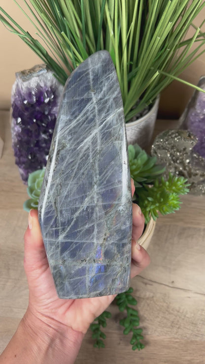 Polished Purple Labradorite Freeform 1043g
