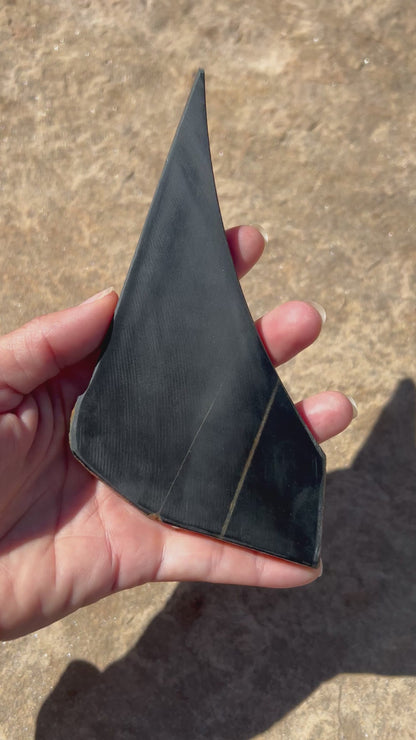Australian Black Jade Slab 154g
