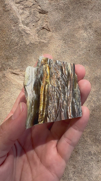 Arizona Pietersite Slab 31g
