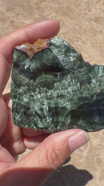 Seraphinite Slab 64g