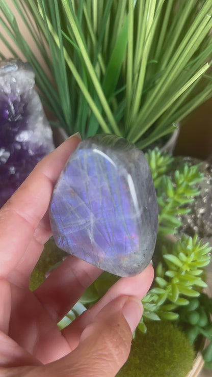 Polished Purple Labradorite Freeform 148g