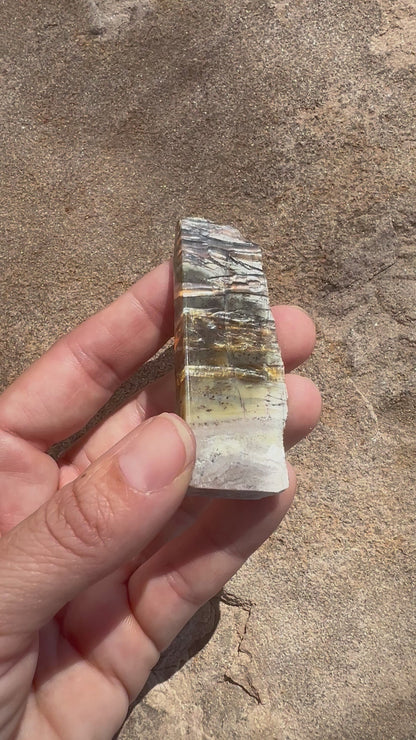 Arizona Pietersite Slab 20g