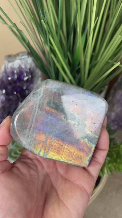 Polished Sunset Labradorite Freeform 373g