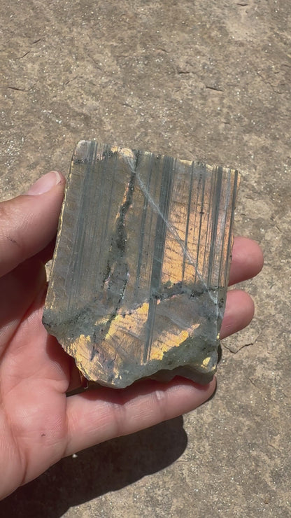 Golden Flash Labradorite Polished Slab 137g