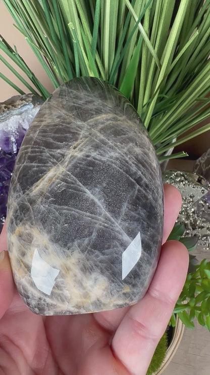 Black Moonstone Freeform 3.54in