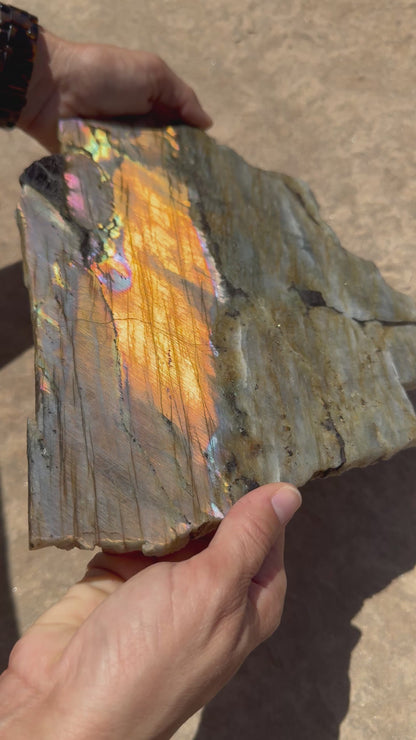 XL Golden Flash Labradorite Polished Slab 1154g