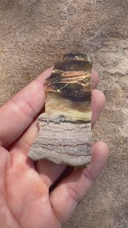 Arizona Pietersite Slab 26g