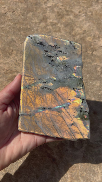Golden Flash Labradorite Polished Slab 308g