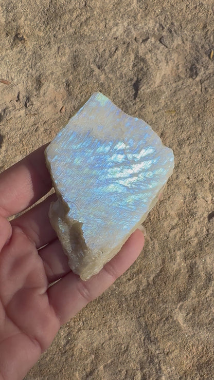 Blue Flash Moonstone Polished Slab 65g