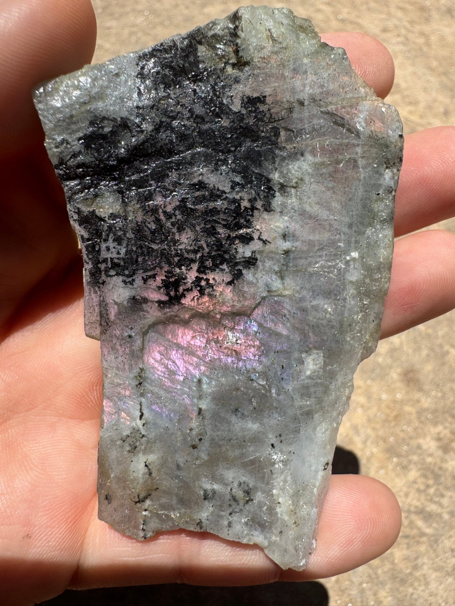 Purple Flash Labradorite Polished Slab 63g - Purple Door Alchemy