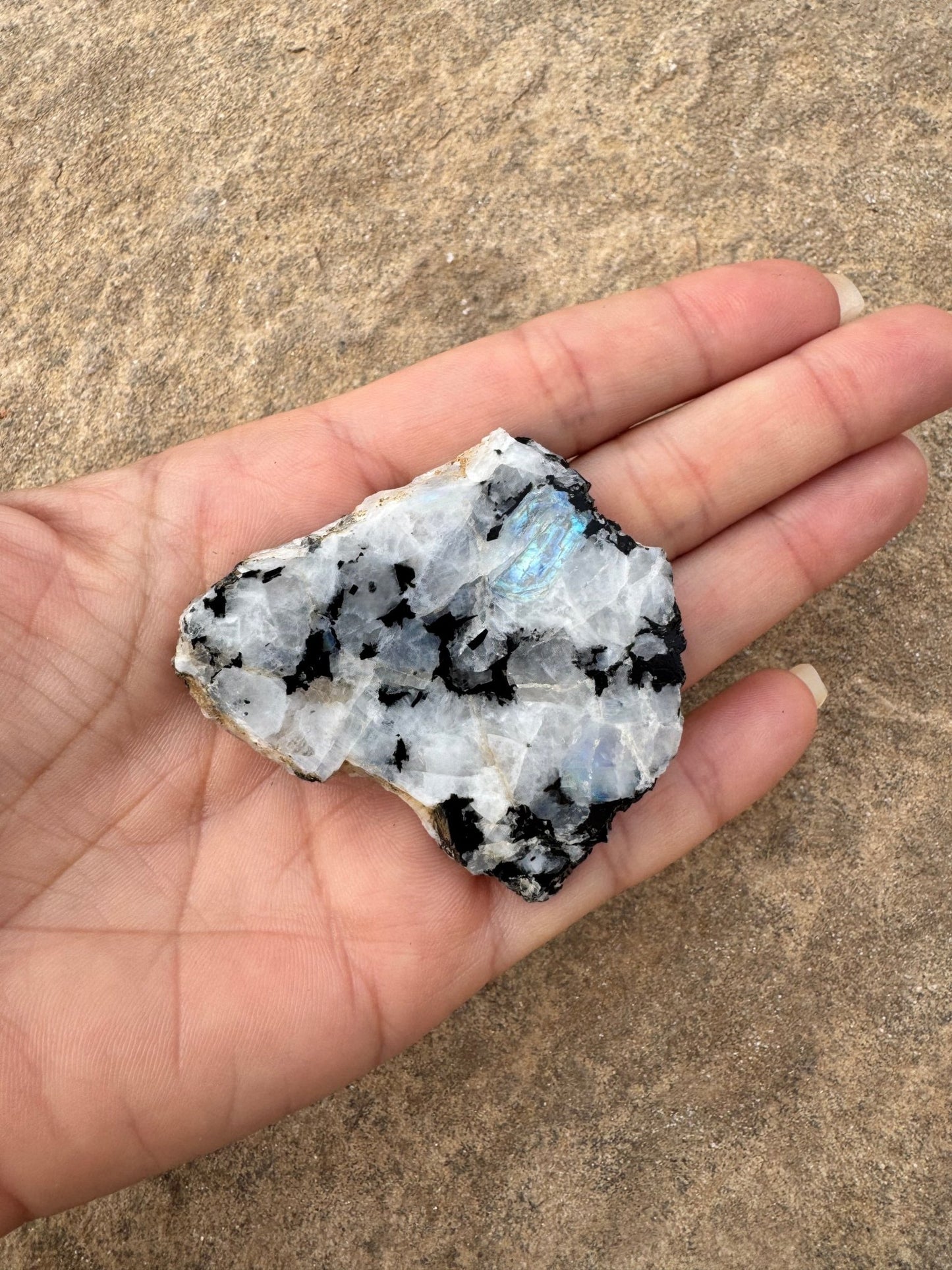 Rainbow Moonstone Polished Slab 30g - Purple Door Alchemy