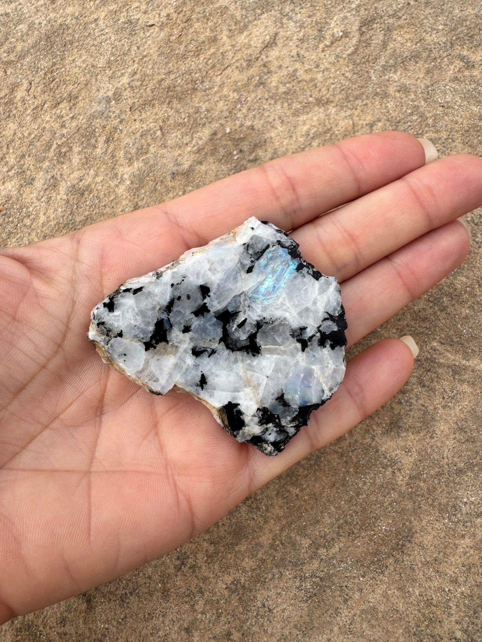 Rainbow Moonstone Polished Slab 30g - Purple Door Alchemy