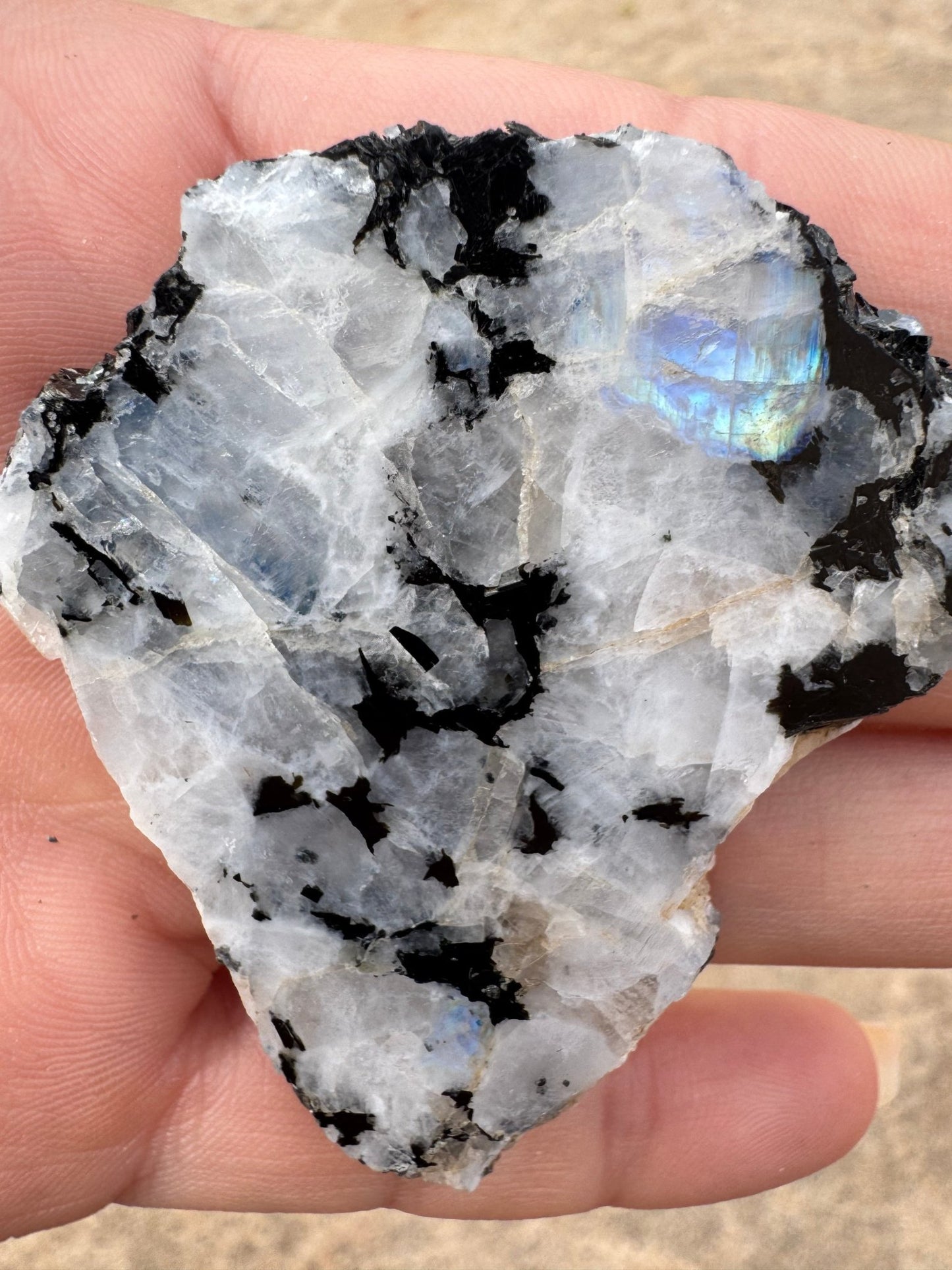 Rainbow Moonstone Polished Slab 30g - Purple Door Alchemy