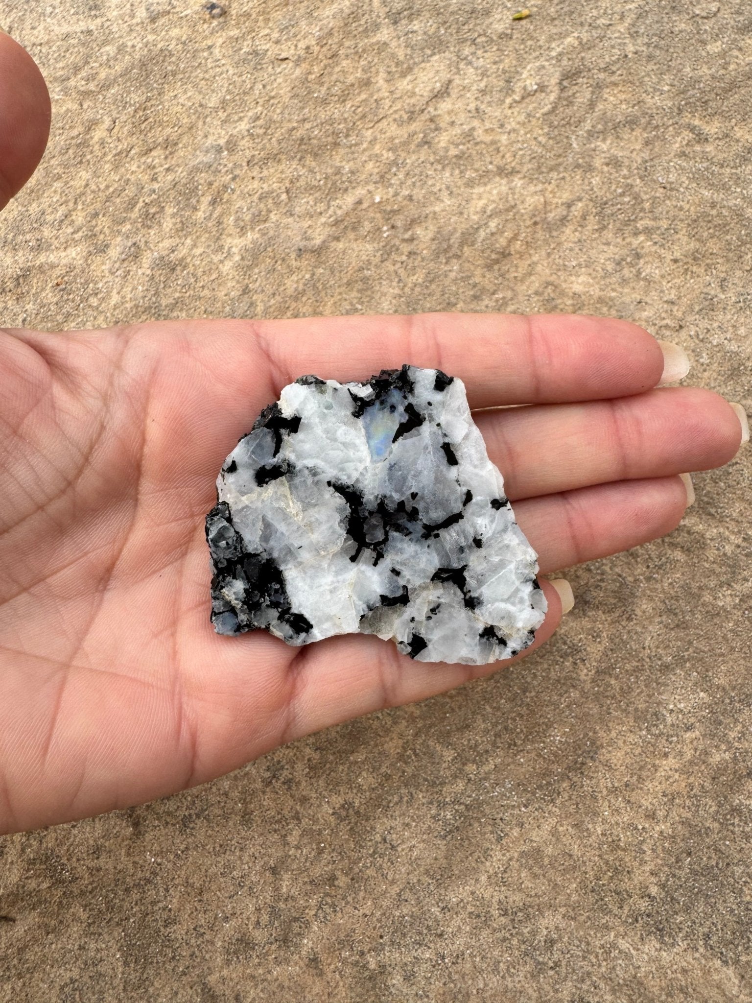 Rainbow Moonstone Polished Slab 30g - Purple Door Alchemy