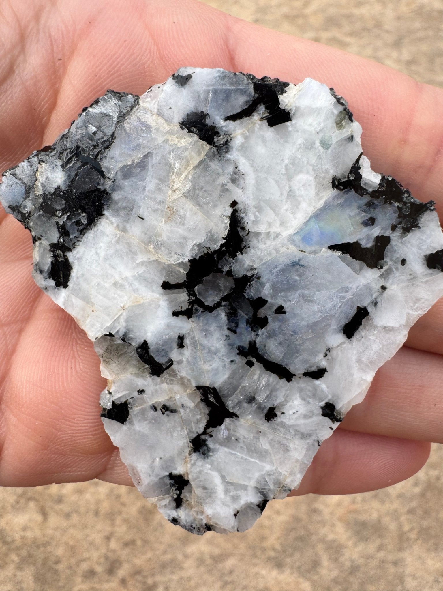 Rainbow Moonstone Polished Slab 30g - Purple Door Alchemy