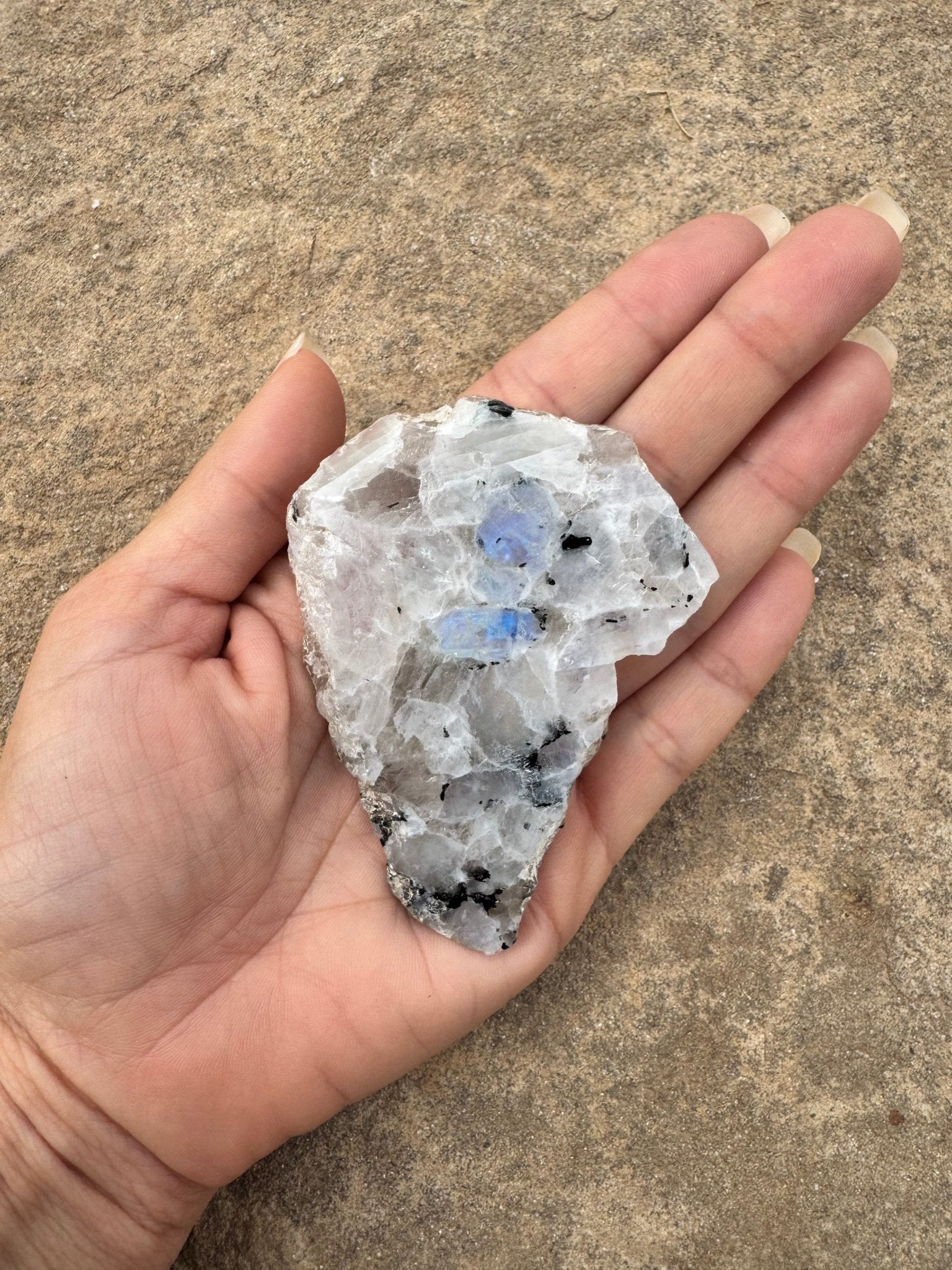 Rainbow Moonstone Polished Slab 46g - Purple Door Alchemy