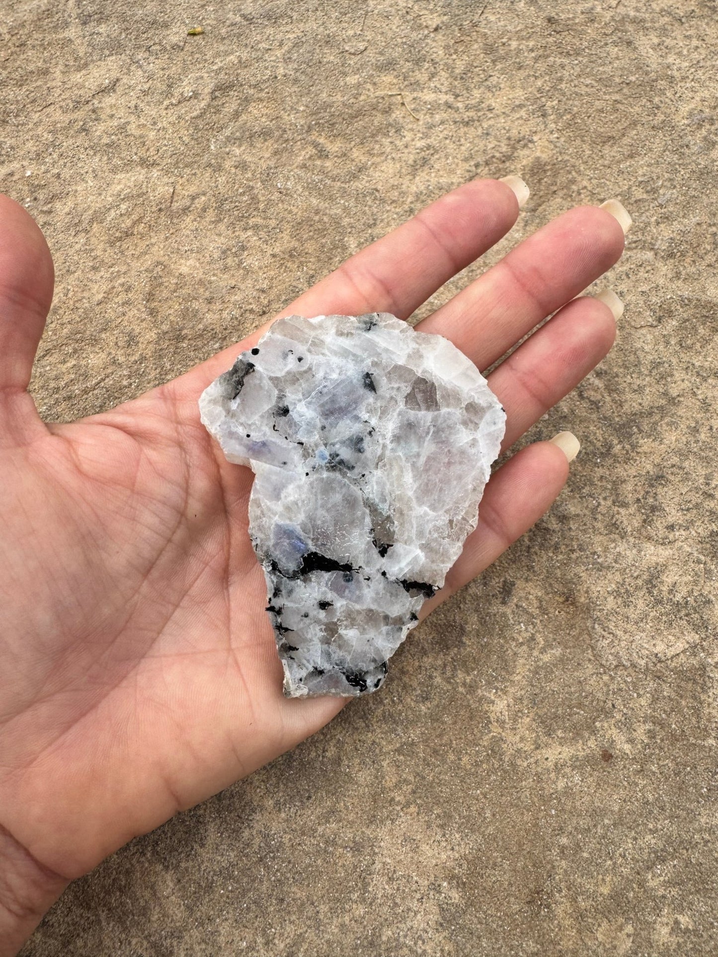 Rainbow Moonstone Polished Slab 46g - Purple Door Alchemy